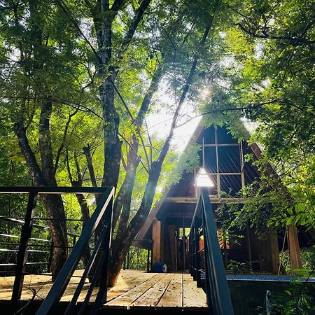 Habarana Tree House Mutu Village Екстер'єр фото