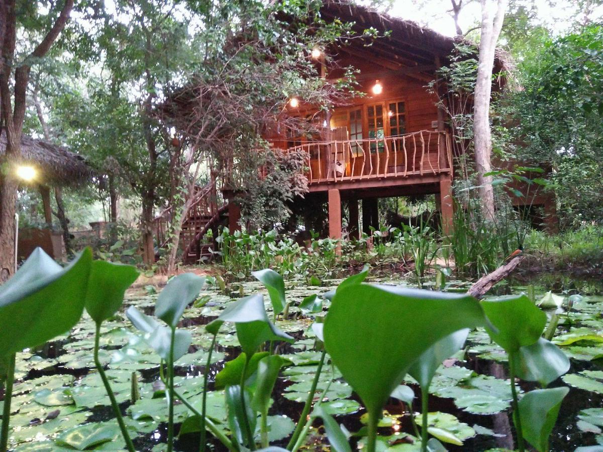 Habarana Tree House Mutu Village Екстер'єр фото