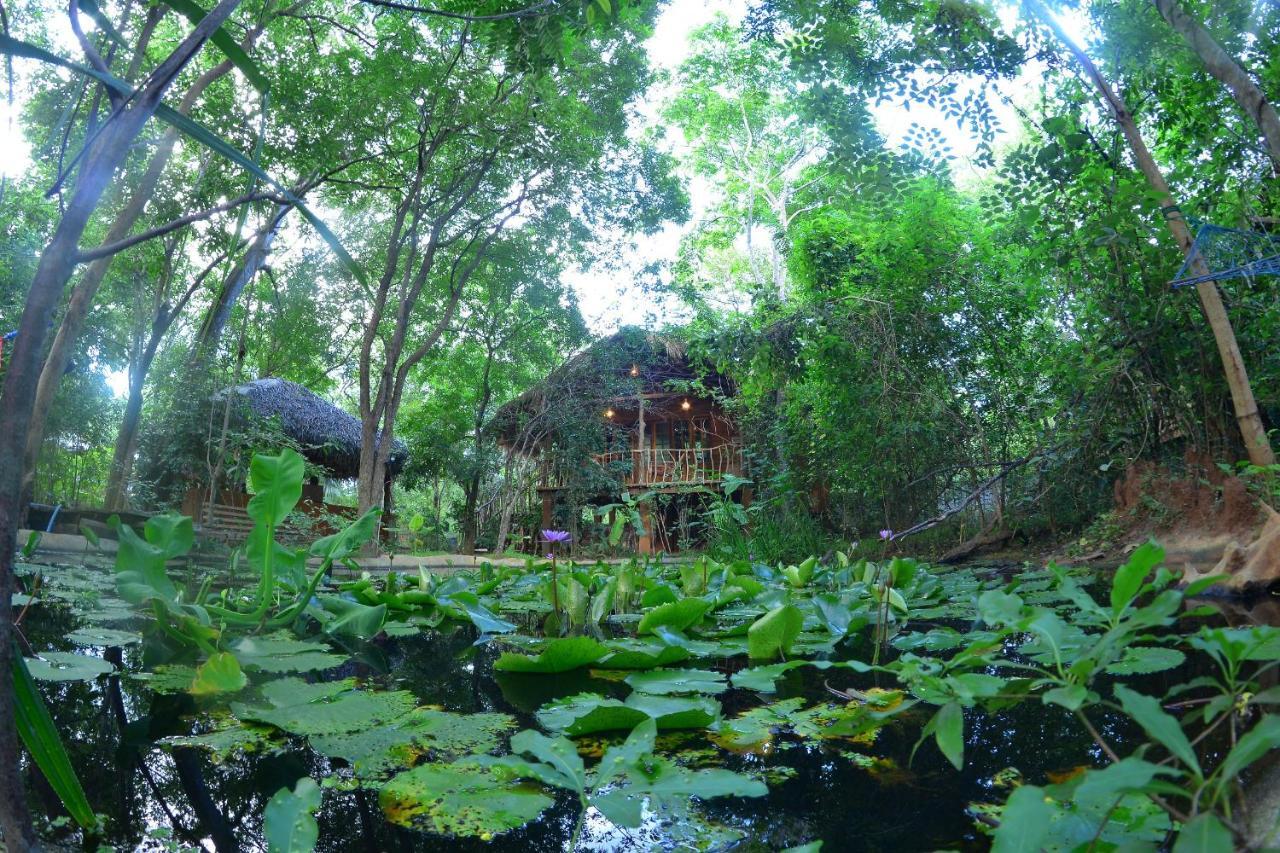 Habarana Tree House Mutu Village Екстер'єр фото